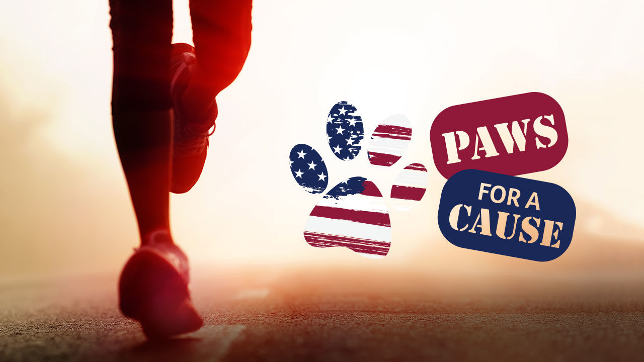 Paws for a Cause